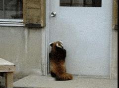 雪佛兰探界者内部各功能键说明,雪佛兰探界者隐藏了哪些功能