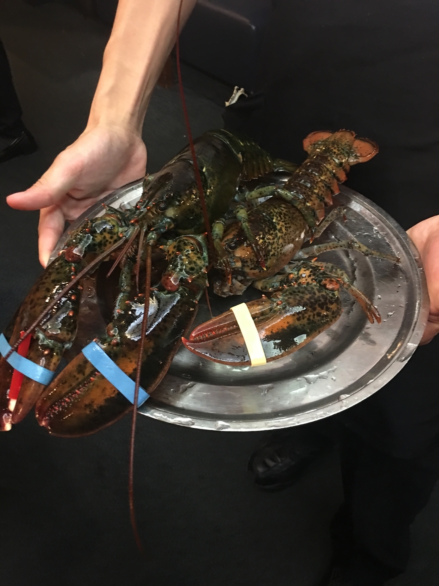 带着日本女友回农村过年,带你走进日本风土人情