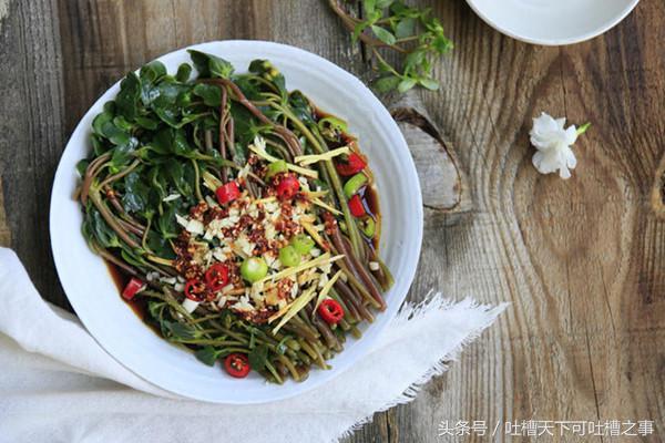 马齿苋凉拌菜方法,凉拌马齿苋怎么做才好吃呢