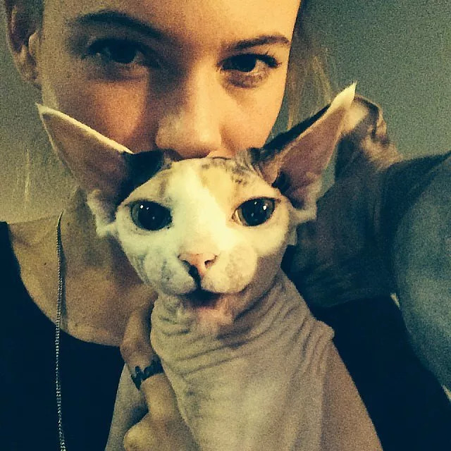 维密天使猫猫走秀,维密超模走秀猫咪