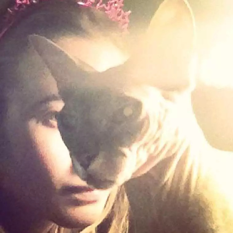 维密天使猫猫走秀,维密超模走秀猫咪