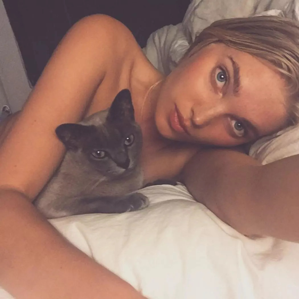 维密天使猫猫走秀,维密超模走秀猫咪