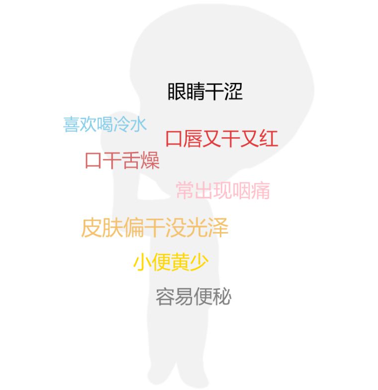 瘦人阳虚多火,瘦人多火旺