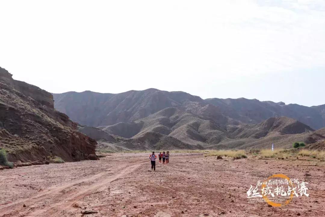 姊﹀洖寮犳帠姝屾洸,姊﹀洖寮犳帠