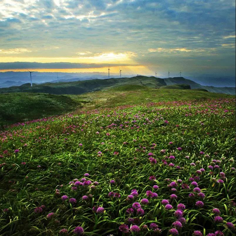 长顺在哪？二十四道拐又凭啥为史迪威公路“带盐”？