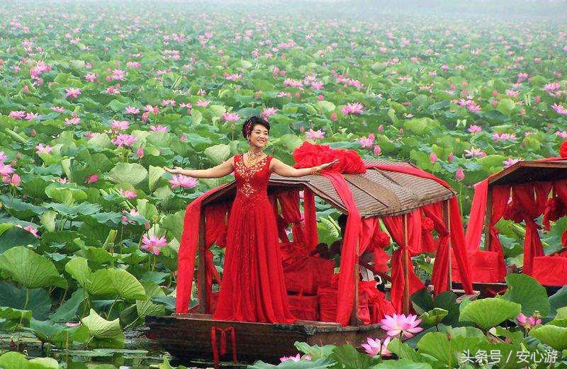 去微山湖看荷花哪里位置最好,7月微山湖红荷湿地公园旅游攻略