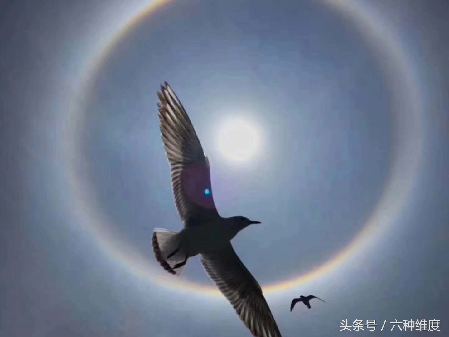 遇到资金盘骗局怎么处理才好,新型资金盘骗局揭秘