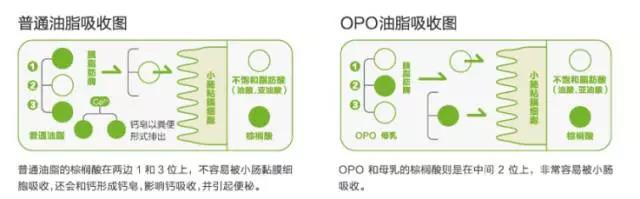 奶粉cpb是什么,奶粉里的cpb重要吗