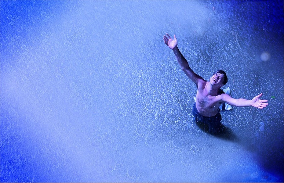 豆瓣评分最高的电影前100,豆瓣8.5分一部被低估的电影