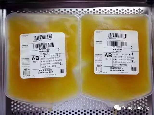 单采血小板献血知识,单采血小板献血者