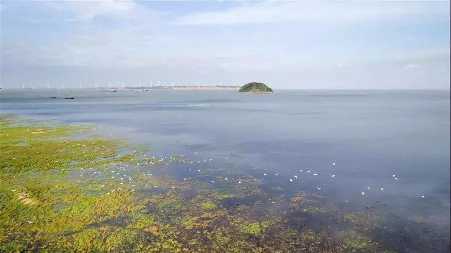 红日厨卫广昌店,红日厨卫探店