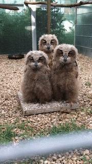 轻松一刻：这个不经意的小动作，可能毁了孩子一生