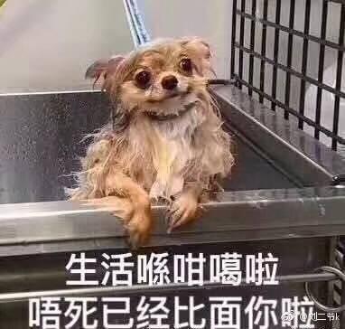 轻松一刻：这个不经意的小动作，可能毁了孩子一生