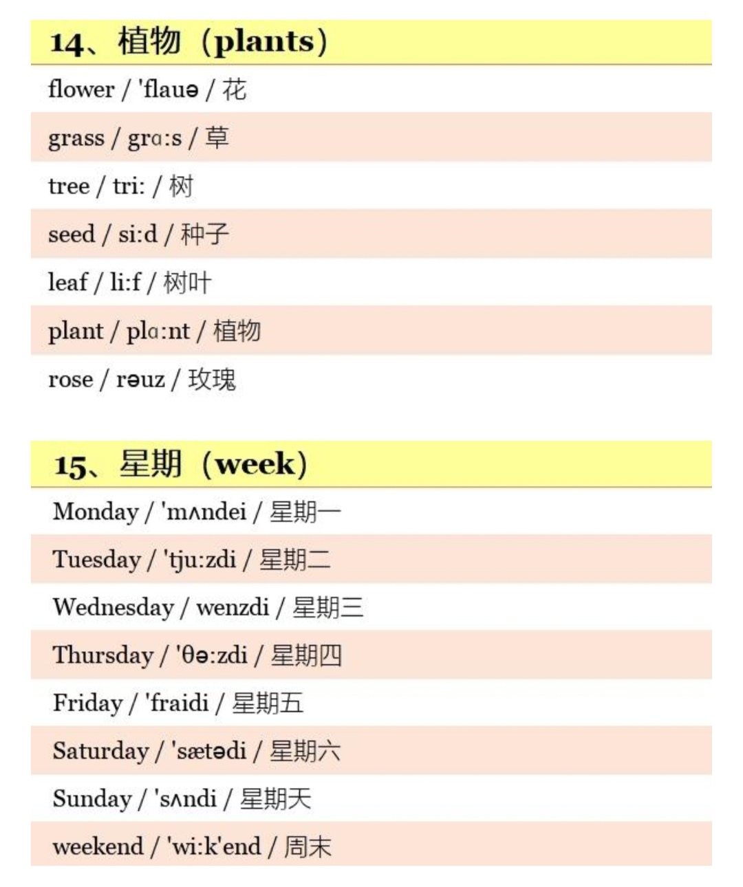 小学800个英语单词带音标,小学英语五年级上册人教版单词