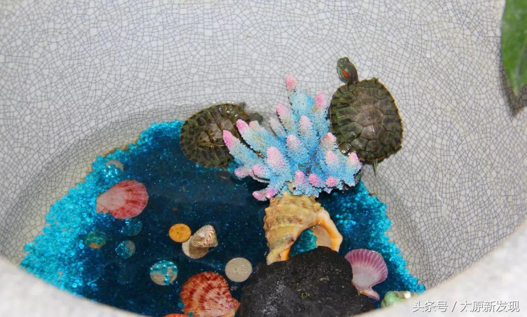 太原万科蓝山重庆莽子火锅,莽子火锅太原