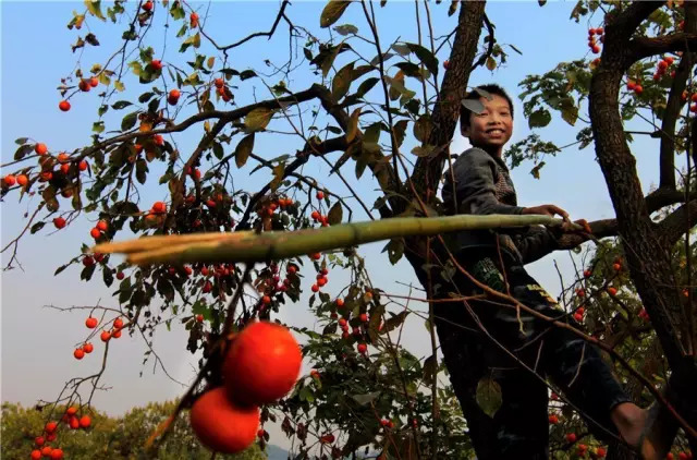 禹州磨街几个村,禹州市磨街乡磨街村