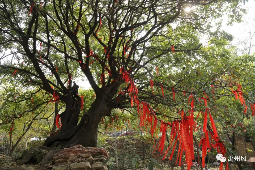 禹州磨街几个村,禹州市磨街乡磨街村