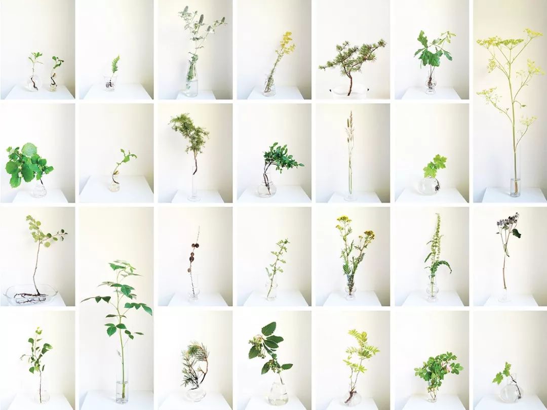 文艺复古小花店,最美小花店