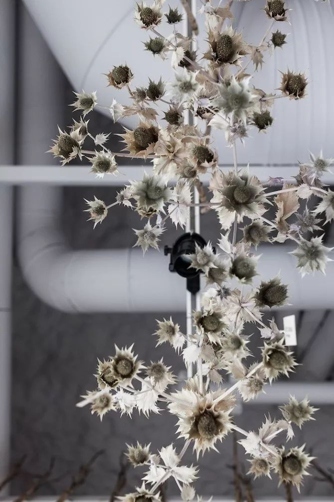 前沿丨世界上那些超美的创意小花店