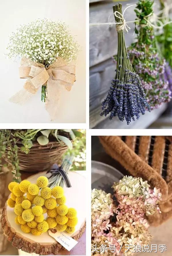 如何做干花最完美,适合南方的干花的制作方法