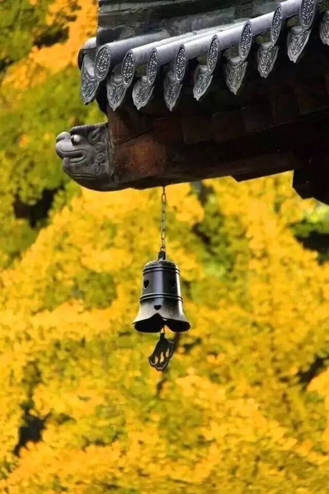 我存了256G的小黄片想和你深夜一起看