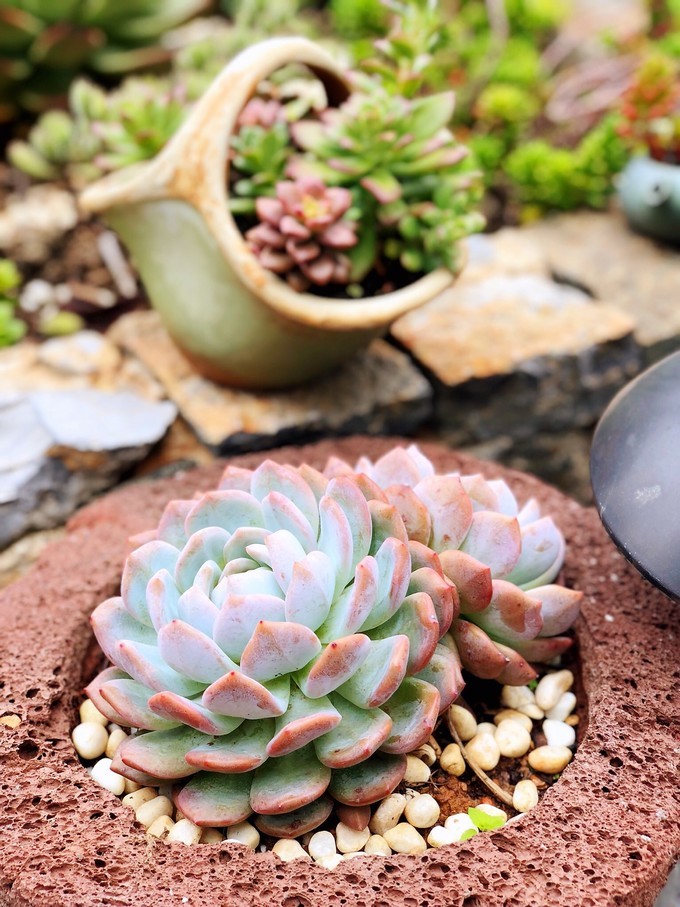 我是云南人搞笑视频,昆明大理腾冲视频