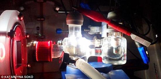 人工光合作用成果是什么,人工光合作用的推广意义