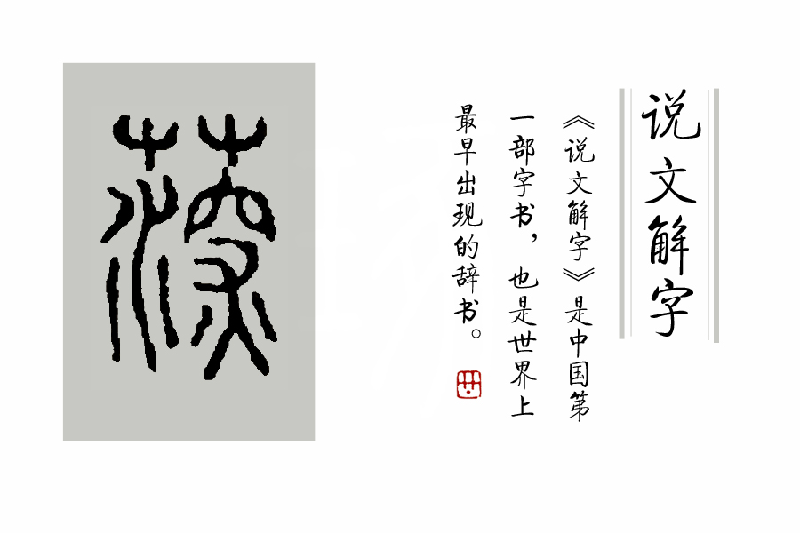 《说文解字》第53课:“茥”这个字,原来指这种适合男人吃的水果