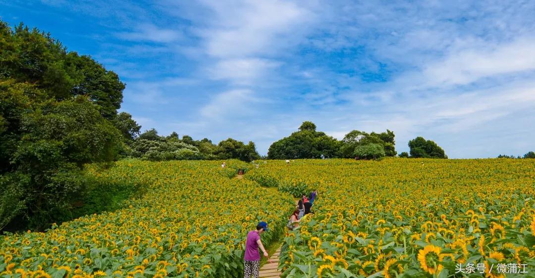 于城市后花园遇见生活美学石象湖景区美skr人！