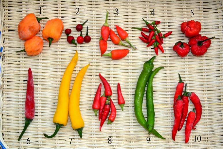 eltamd长效保湿,被低估的国产护肤品