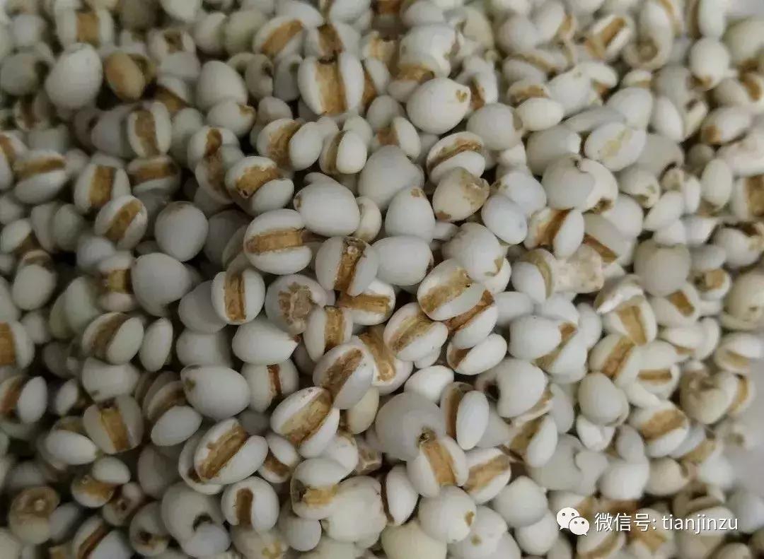 好恶心！天津姐姐在正规药店里抓来中药，竟煮出来了虫子