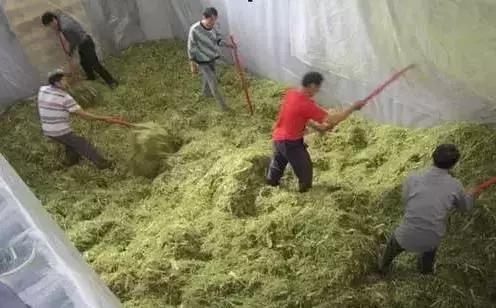 禁止燃烧秸秆田里的秸秆怎么处理,私自烧秸秆如何处罚