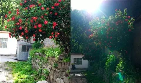 藏西的风景,藏西有哪些景点