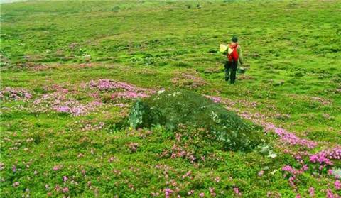 藏西的风景,藏西有哪些景点