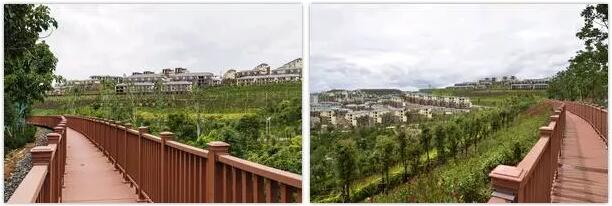 曾经的海东你还记得吗？“灭荒”进行时，现在的海东怎么样了？