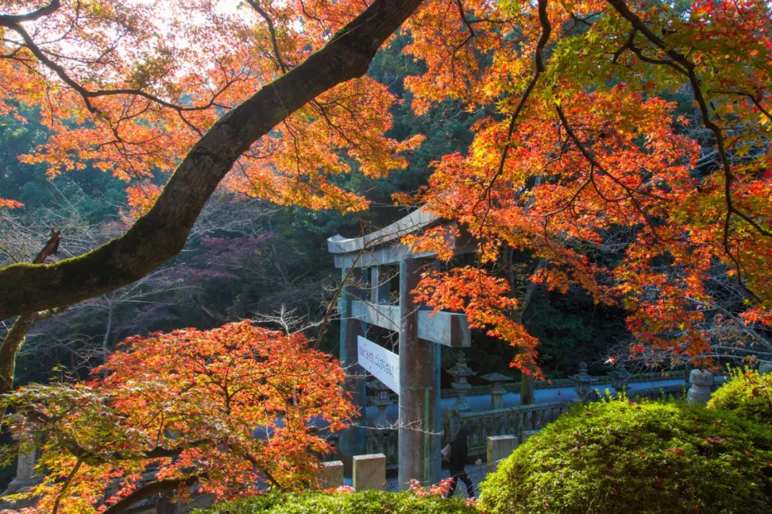 日本濑户内海旅游,日本濑户内海旅行