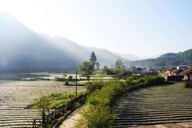 陕西最大的千年古县,陕西西安周至猕猴桃之乡