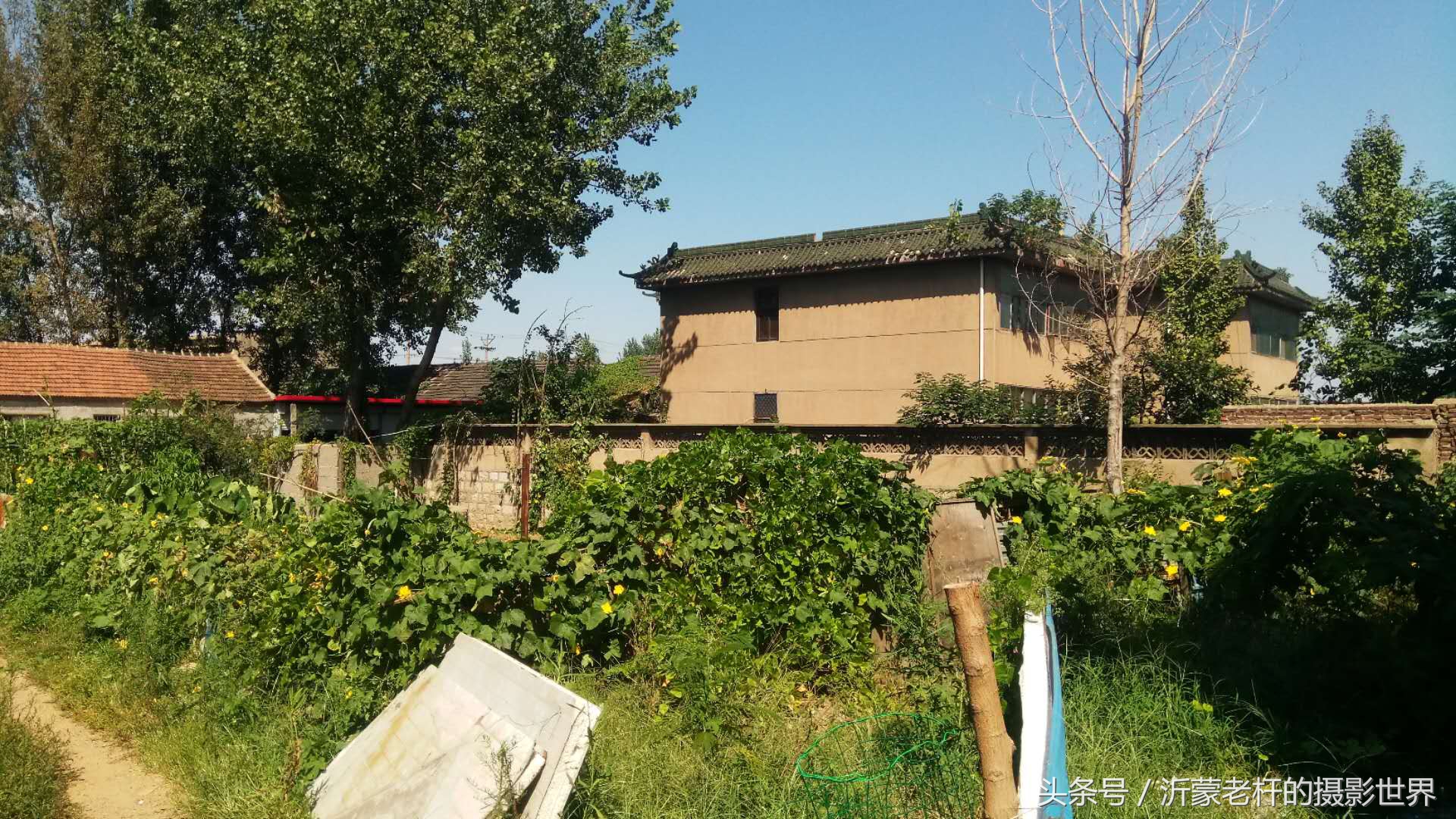 沂蒙老杆的乡愁记忆：永远难忘付庄街道神奇的磨坑