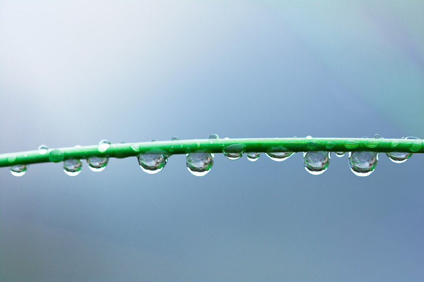 生活哲理的诗句大全水至清则无鱼,100句饱含哲理的诗句