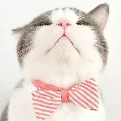 头孢皮试的操作流程及注意事项,科普头孢皮试