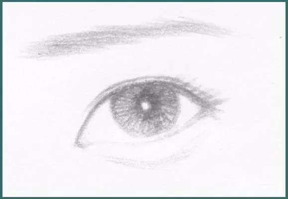 常见的八种眼型自测图,有哪几种眼型最好看