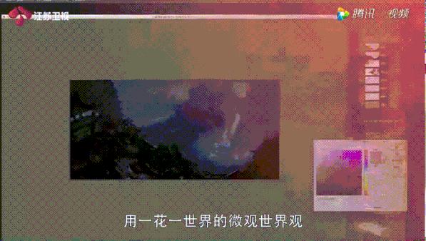 甜的磕牙,虐的肝颤,它凭什么前30集封神?