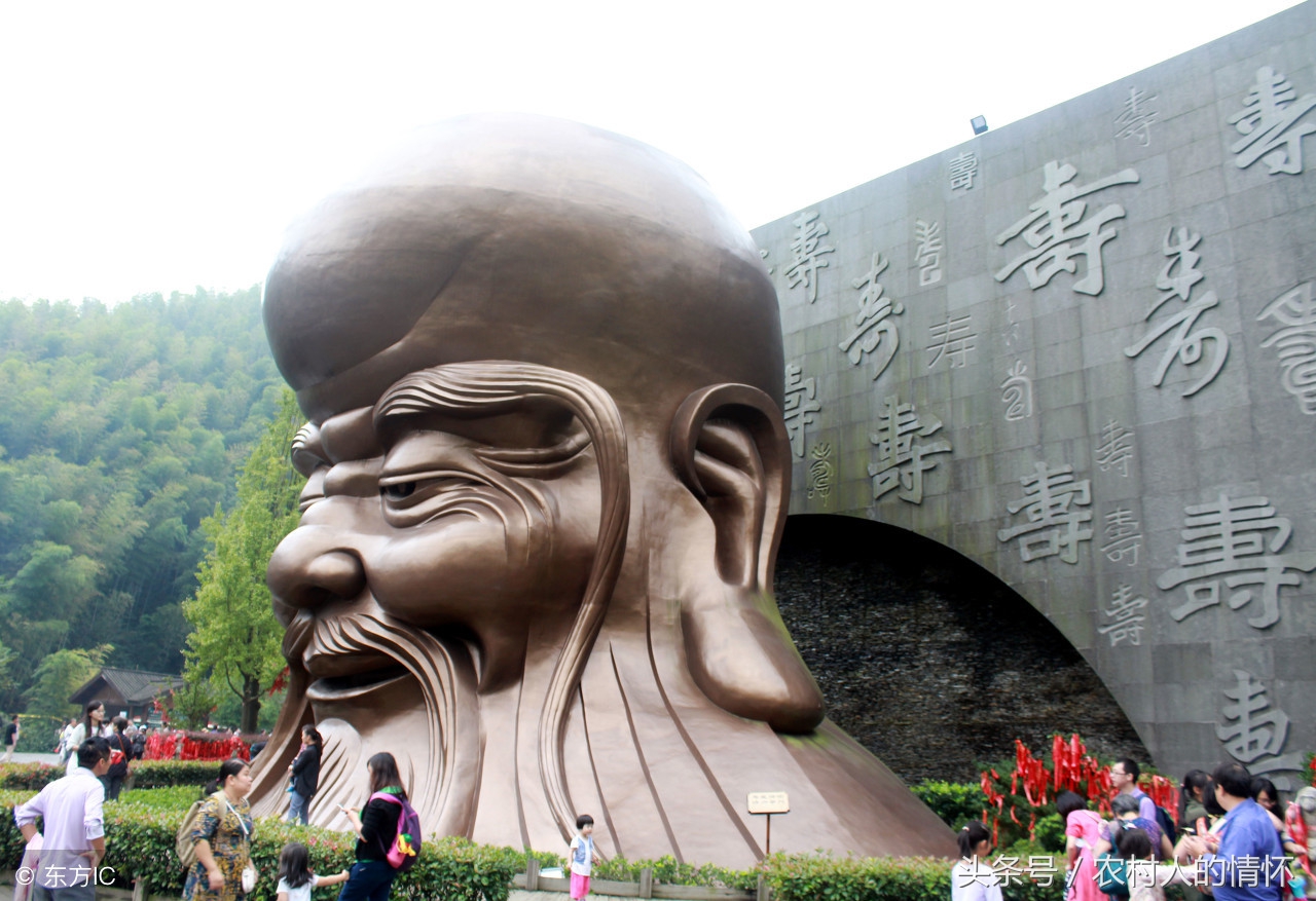 头大的神仙寿星,神仙寿星的照片