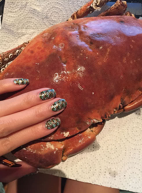 螃蟹当中的贵族“面包蟹”，很多食客看了都流口水，可是很难捕捉