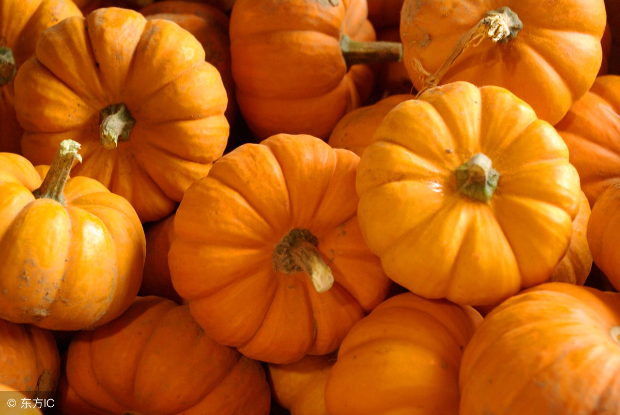 13个月润喉辅食,清肺润喉化痰辅食