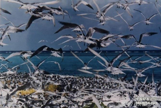 中国地图西沙群岛的位置图片,中国西沙群岛全景