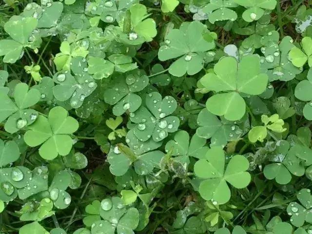 深圳出发高铁可达的古镇,深圳高铁直达的旅游景点