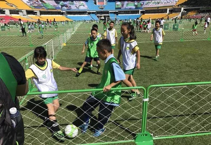 灏忚冻鐞冨ぇ姊︽兂娲诲姩鏂规,灏忚冻鐞冨ぇ姊︽兂涓婚娲诲姩