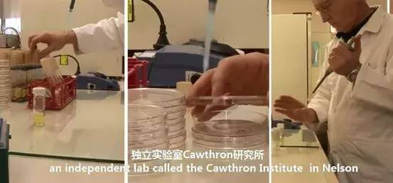 秋冬嘴角干燥、脱皮、发炎？涂点这个，立刻还你幼嫩双唇，让人想要一亲芳泽！