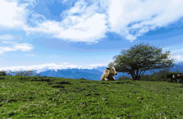 川西不次于牛背山的观景平台,比牛背山更近的贡嘎观景平台